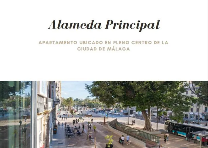 Alameda Principal Larios Centro Wifi